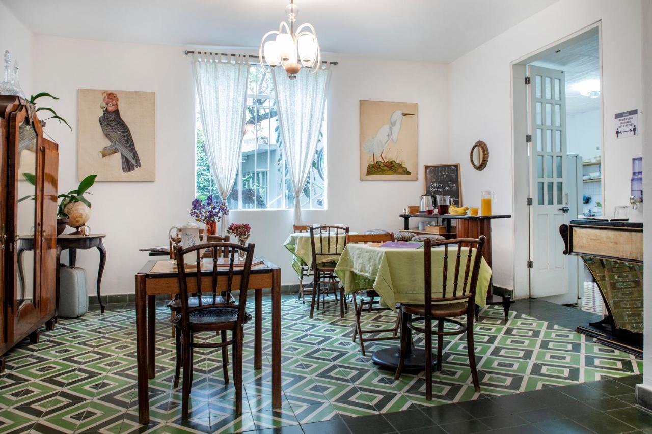 Stella Bed & Breakfast Mexico City Ngoại thất bức ảnh
