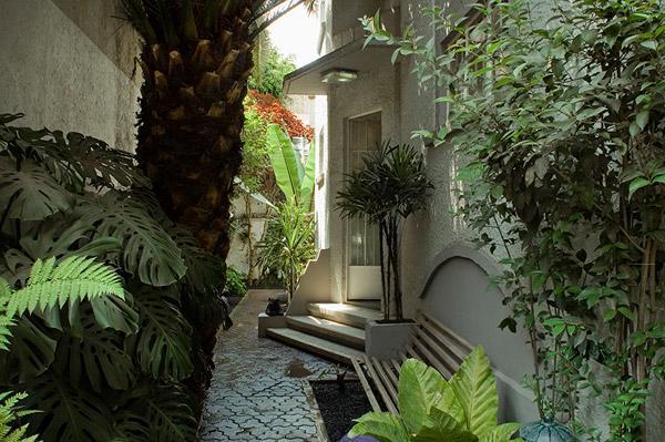 Stella Bed & Breakfast Mexico City Ngoại thất bức ảnh